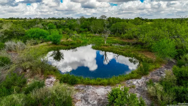 a view of a pathway in a garden