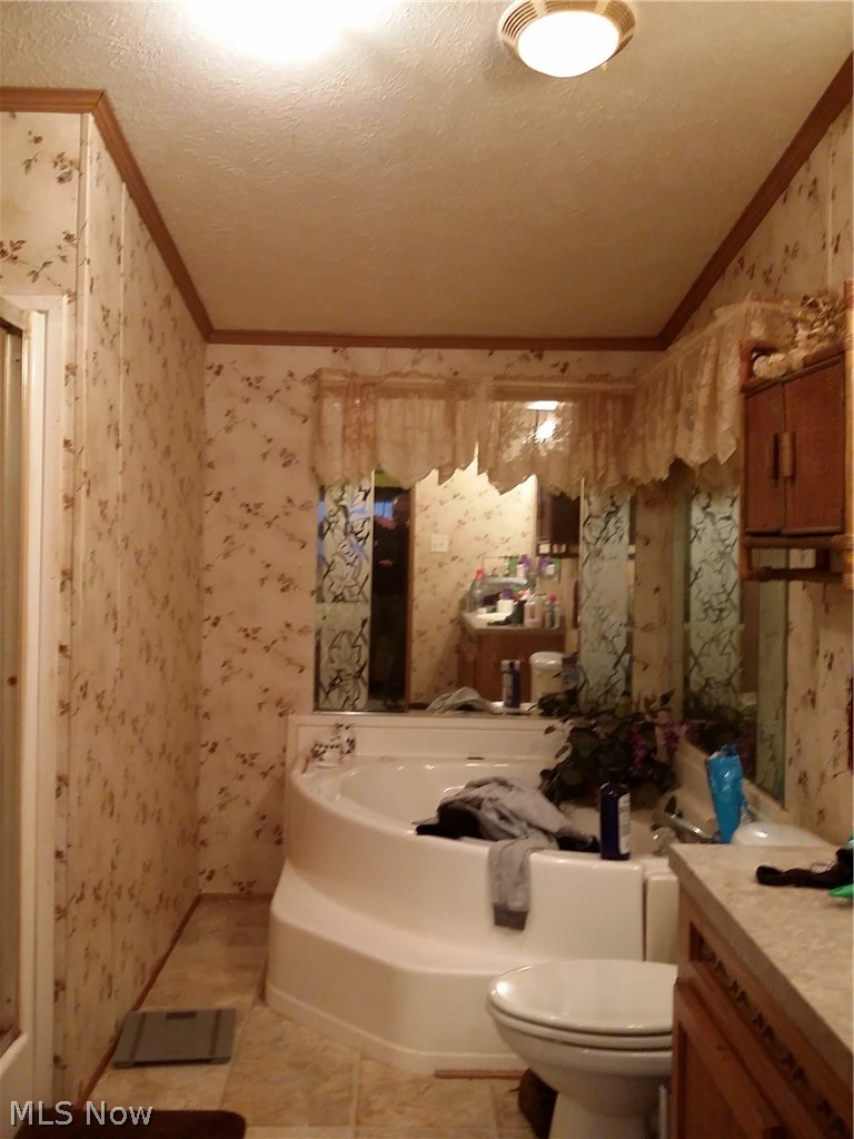 2303 Meloy Road Kent, OH 44240 - Photo 9 of 12 Garden tub and shower.