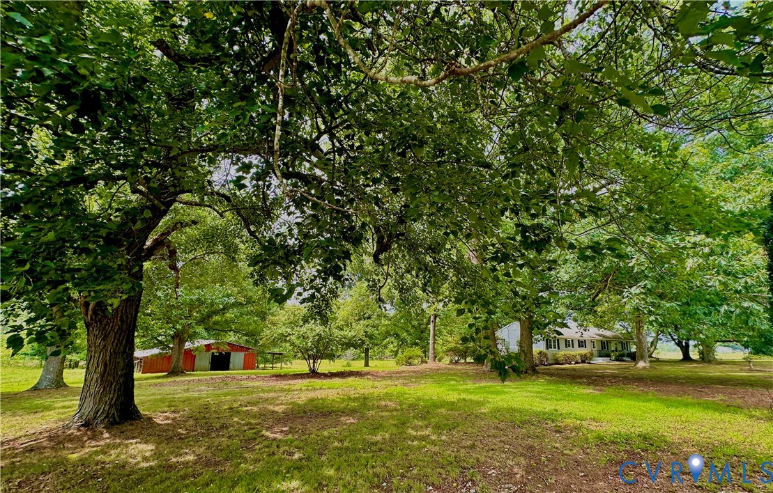 205 Hardtimes Road Farmville, VA 23901 - Photo 19 of 34 Expansive green grounds featuring mature trees and