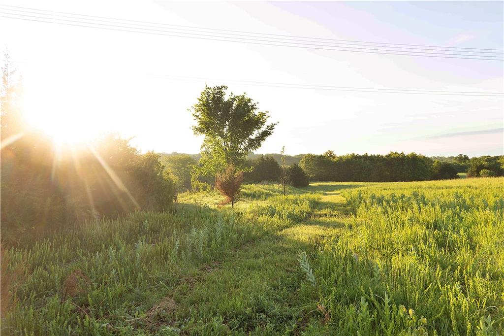 Murray Rd Road Polo, MO 64671 - Photo 20 of 53
