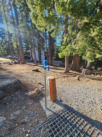 a view of a park with trees