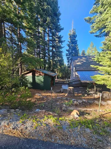 a view of a yard with plants and a bench