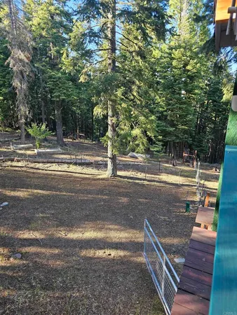 a view of a yard with large trees