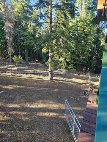 a view of a yard with large trees