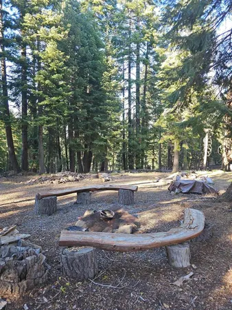 a view of fountain with large trees
