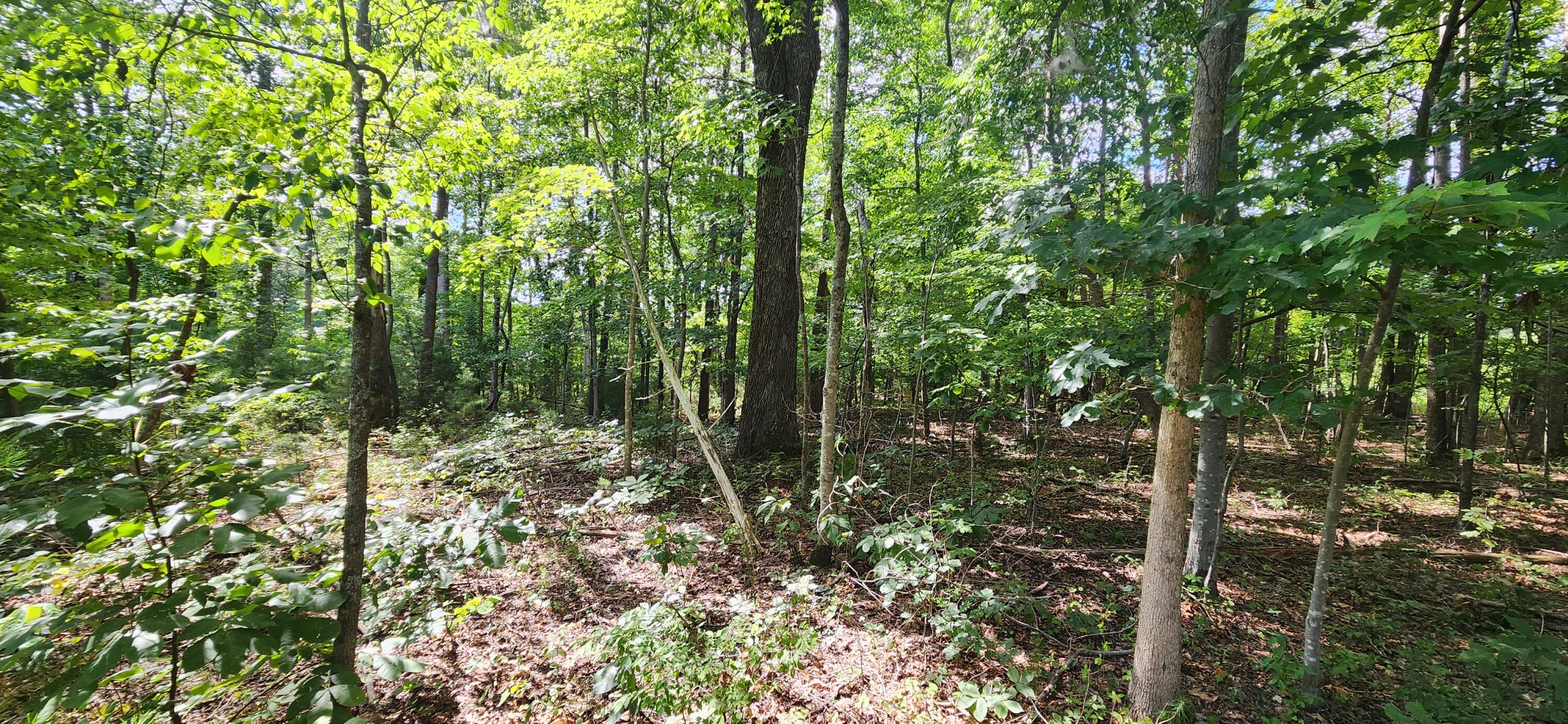 0 Cooper Road Rocky Mount, VA 24151 - Photo 3 of 3 0 Coopers Rd