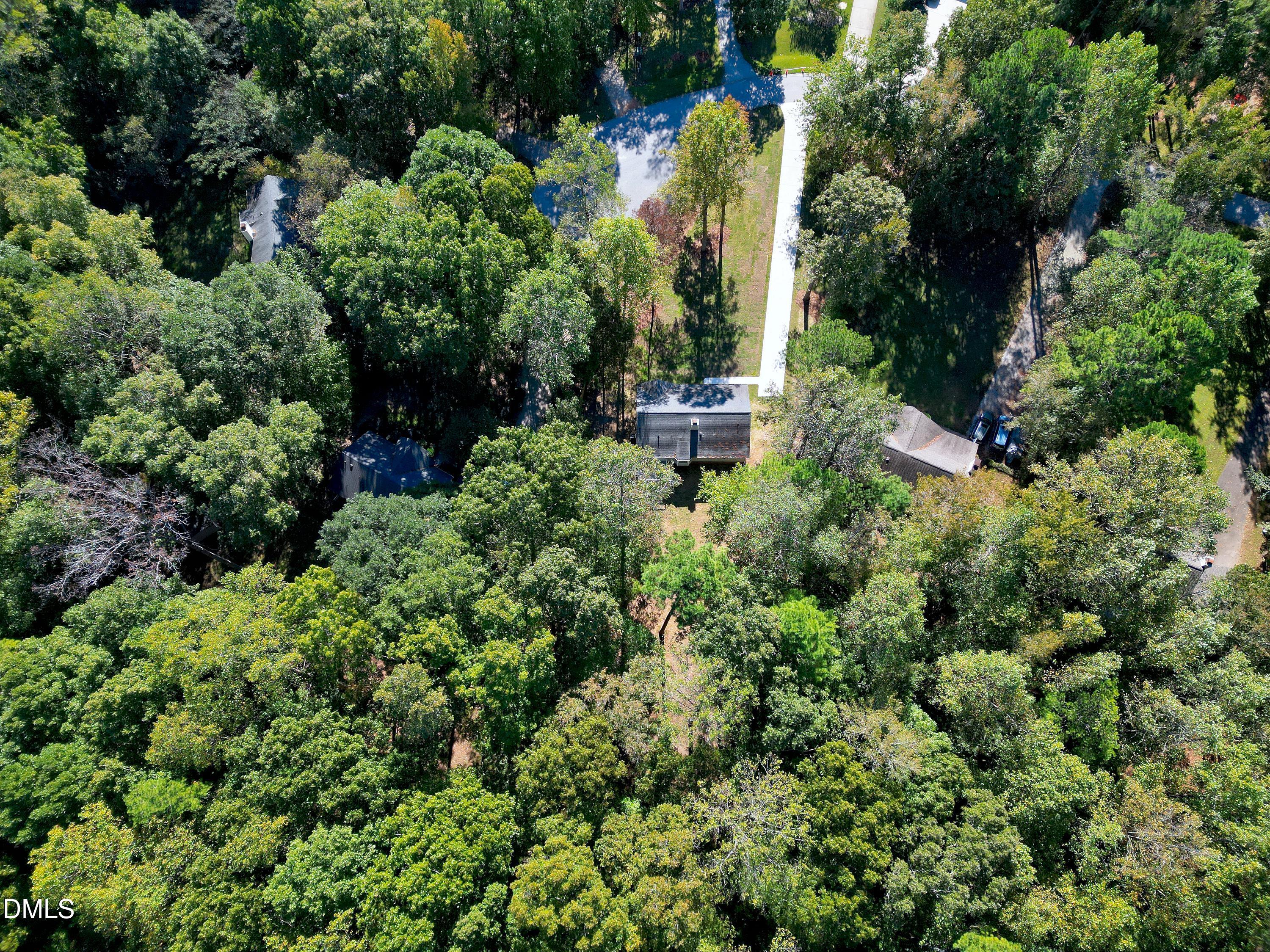 1508 Middle Ridge Drive Willow Spring, NC 27592 - Photo 49 of 56 an outdoor space with lots of plants and trees