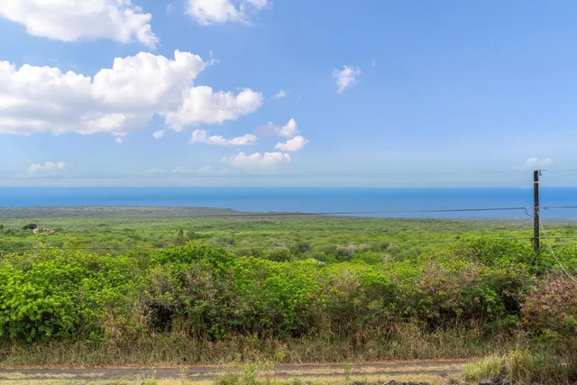 a view of yard with green space