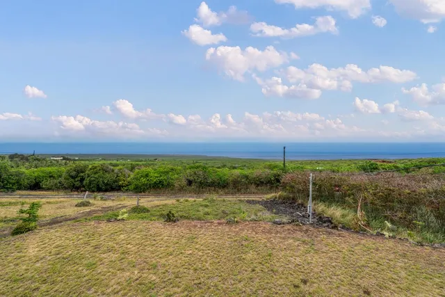 a view of a lake in middle of forest