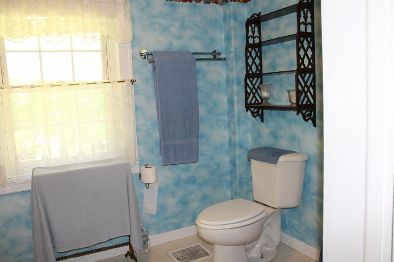 1929 Lithia Road Buchanan, VA 24066 - Photo 13 of 31 Bath