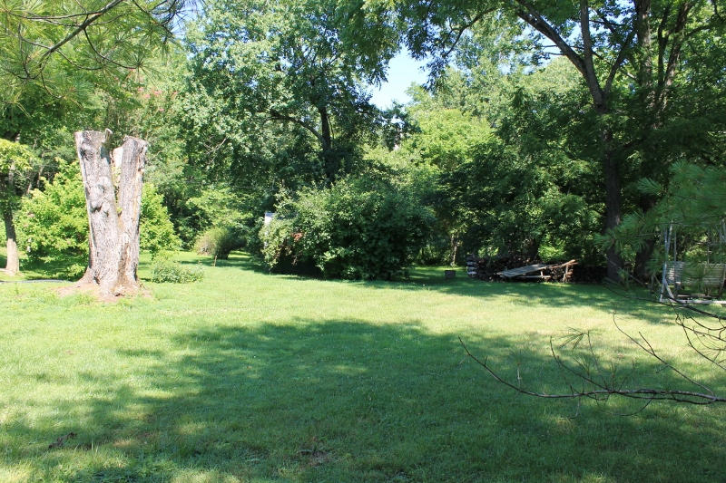 1929 Lithia Road Buchanan, VA 24066 - Photo 15 of 31 Lawn1