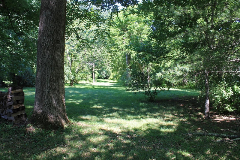 1929 Lithia Road Buchanan, VA 24066 - Photo 16 of 31 lawnlower