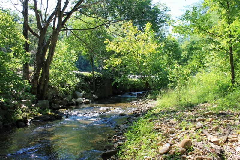 1929 Lithia Road Buchanan, VA 24066 - Photo 17 of 31 Creek1