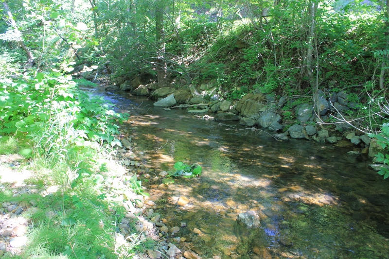 1929 Lithia Road Buchanan, VA 24066 - Photo 18 of 31 Creek2