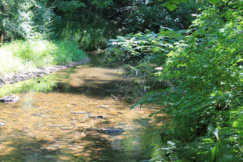 1929 Lithia Road Buchanan, VA 24066 - Photo 19 of 31 Creek3