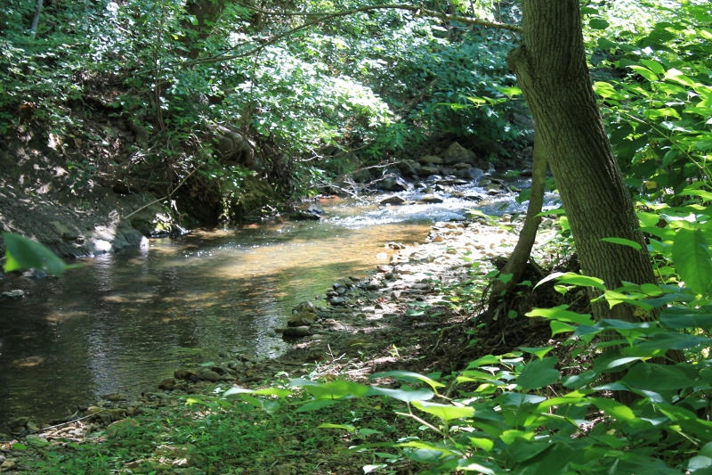 1929 Lithia Road Buchanan, VA 24066 - Photo 20 of 31 Creek4