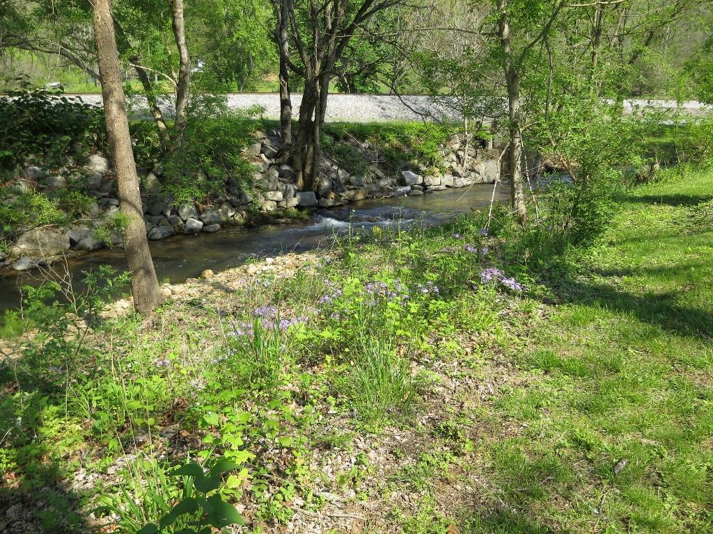 1929 Lithia Road Buchanan, VA 24066 - Photo 30 of 31 Can you hear the water (1024x768)