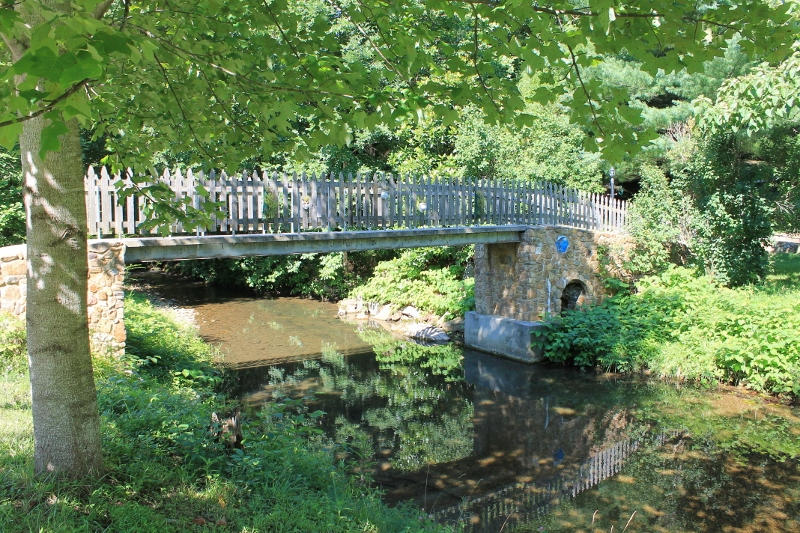 1929 Lithia Road Buchanan, VA 24066 - Photo 4 of 31 Bridge