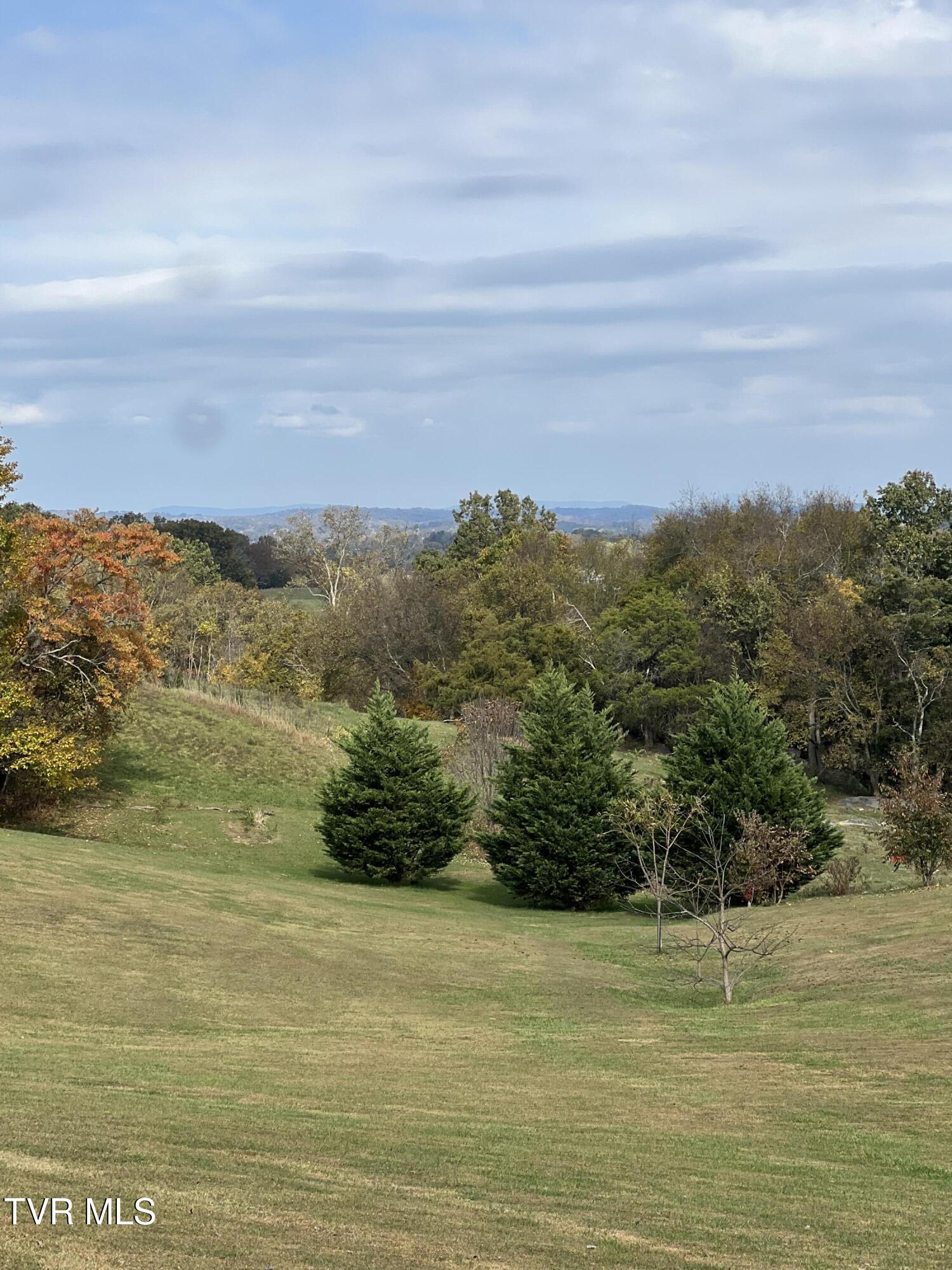 2044 Garrett Hill Road Greeneville, TN 37743 - Photo 64 of 64 IMG_1122