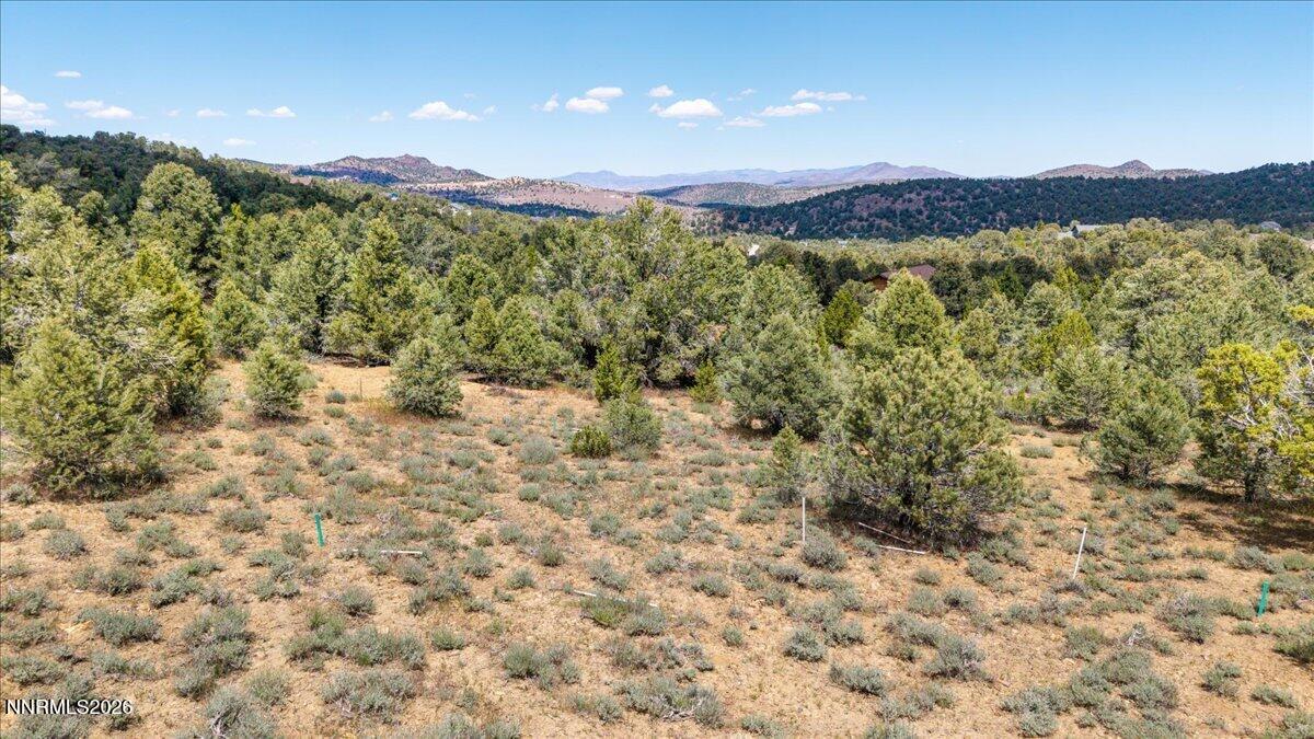21740 Clemens Road Reno, NV 89521 - Photo 11 of 12 a view of a mountain