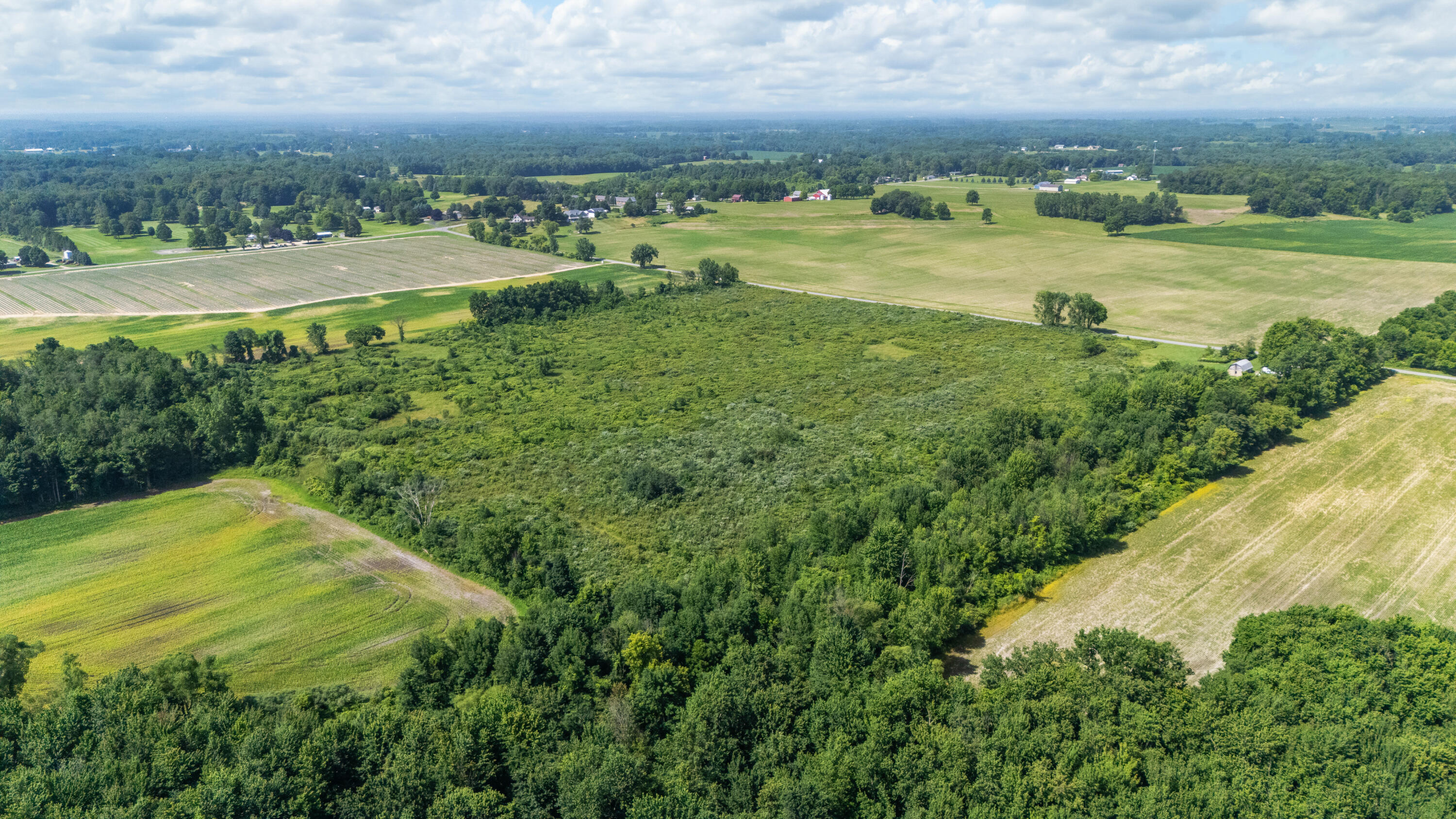 3709 Michael Road Eau Claire, MI 49111 - Photo 43 of 44 4445DJI_20260701231142_0009_D