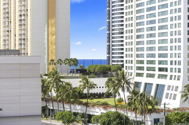 a view of a potted plants next to a building