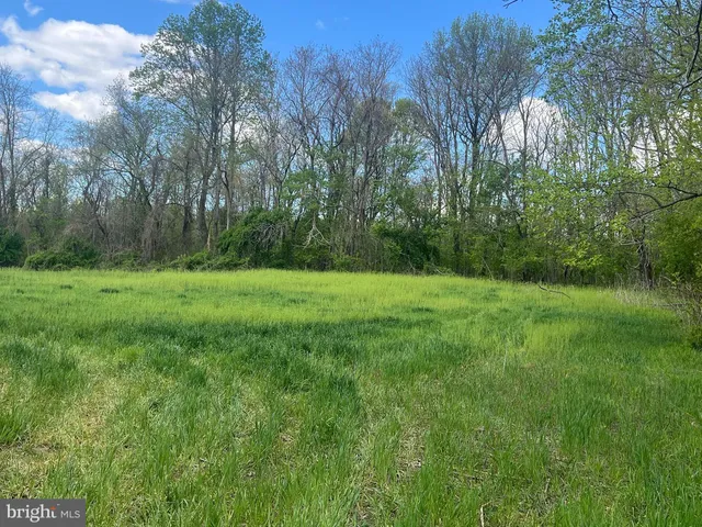 a view of a grassy field with trees in the background