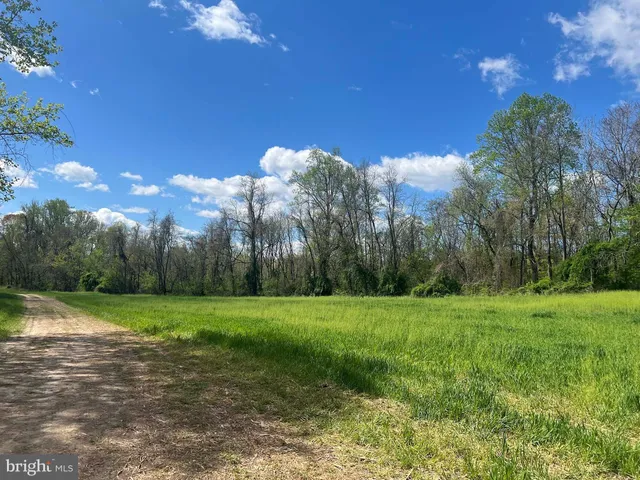 a view of a grassy field with trees in the background