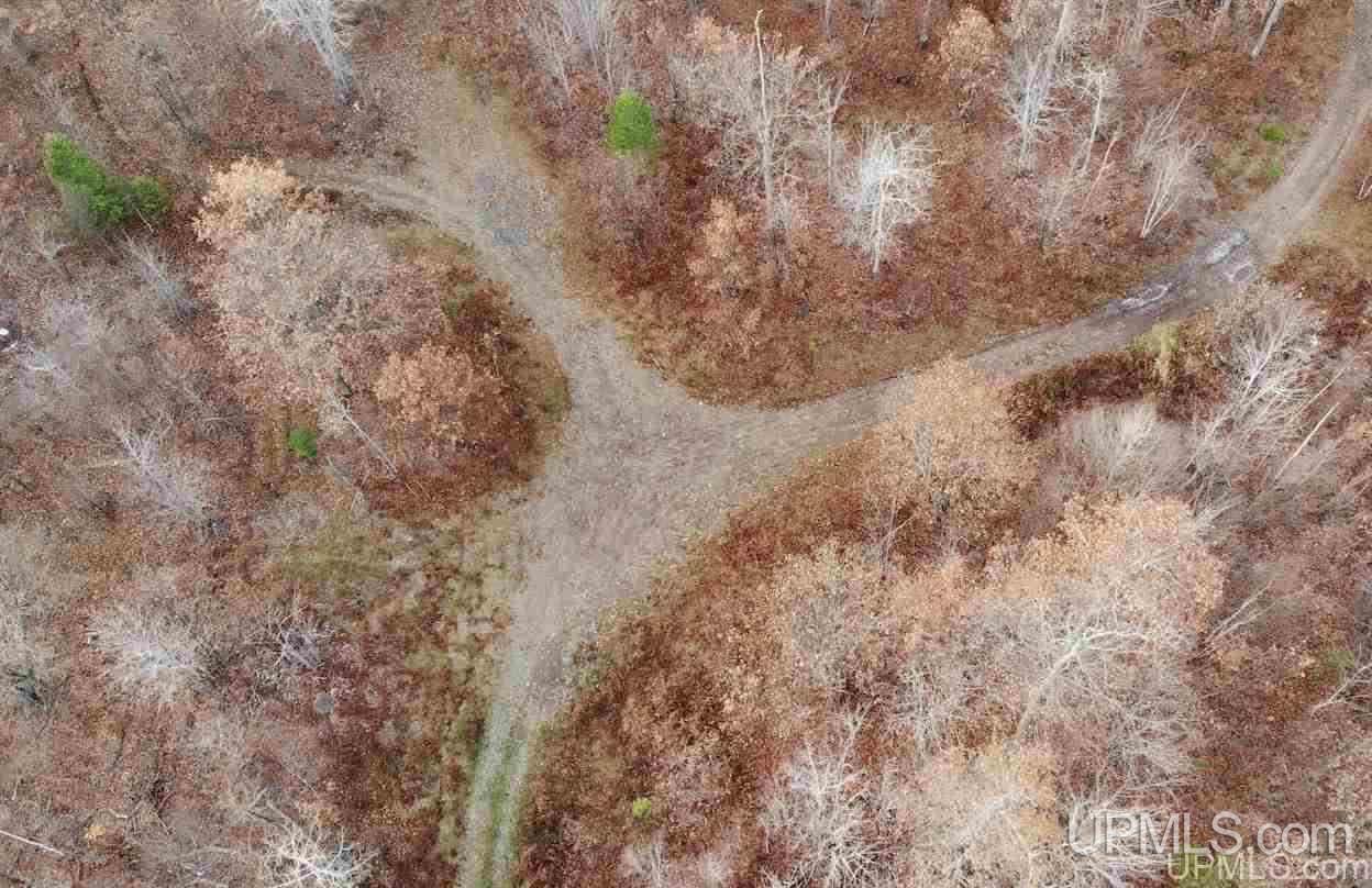 Tbd Tbd Off Us41 Mohawk, MI 49950 - Photo 5 of 22
