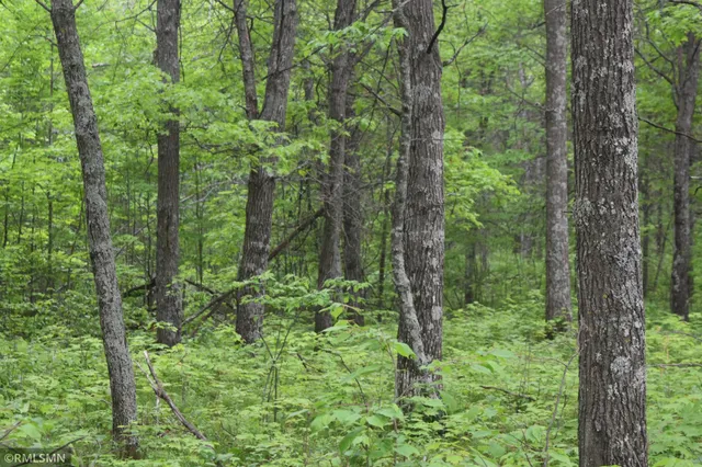 $114,900 | 44863 Highway 48, Hinckley, MN 55037