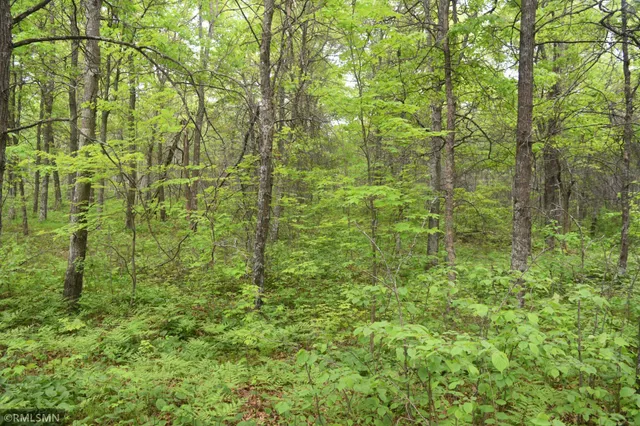 $114,900 | 44863 Highway 48, Hinckley, MN 55037