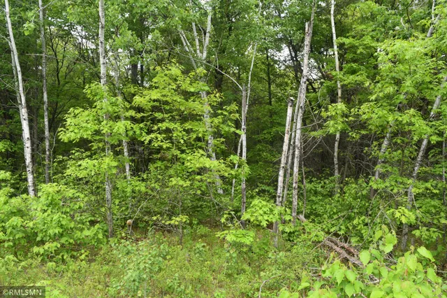 $114,900 | 44863 Highway 48, Hinckley, MN 55037