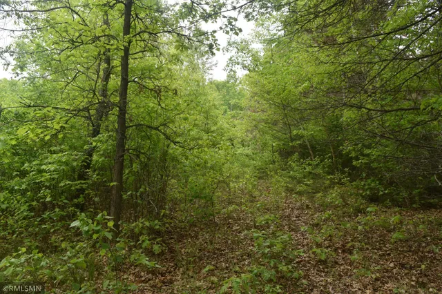 $114,900 | 44863 Highway 48, Hinckley, MN 55037