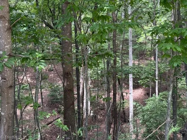 $129,900 | 0 Breakaway Drive, McGrady, NC 28649