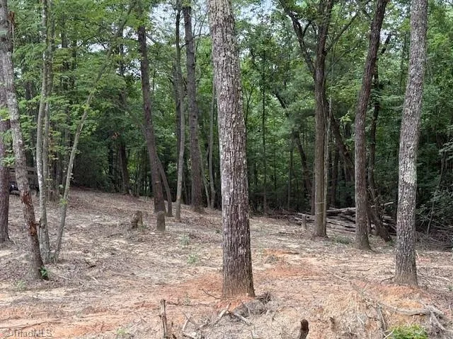 $129,900 | 0 Breakaway Drive, McGrady, NC 28649