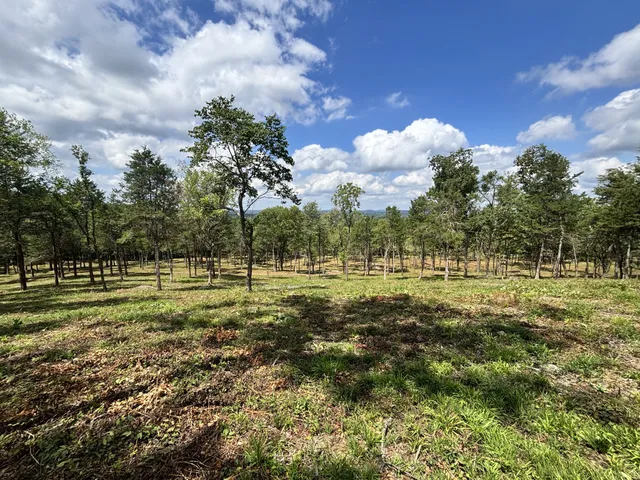 a view of park space