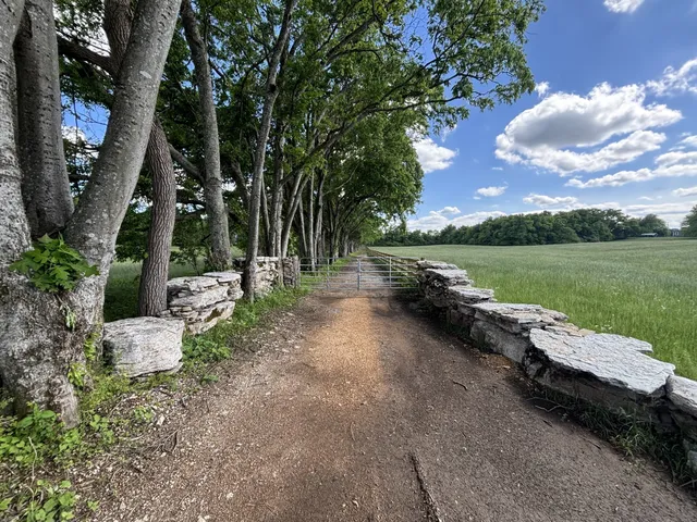 a view of grassy field with trees