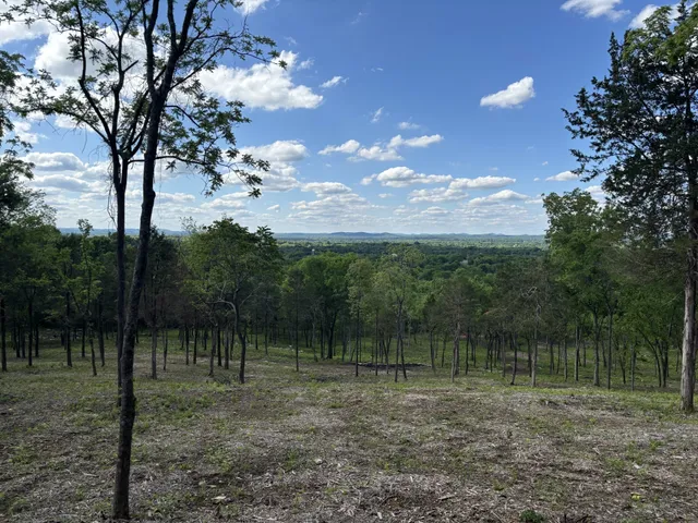 a view of outdoor space with trees