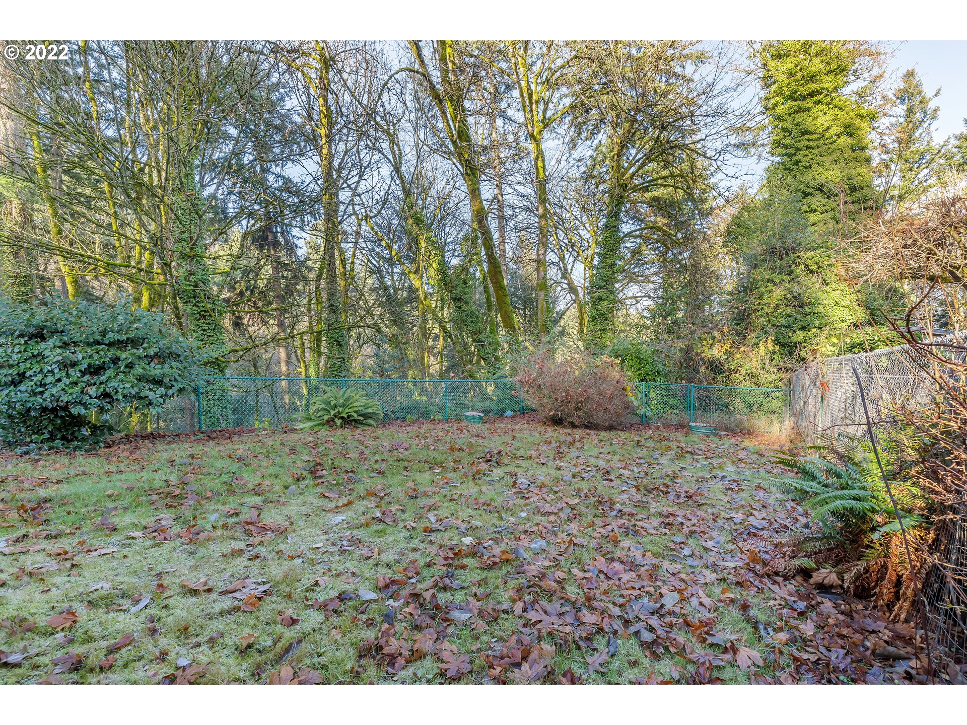 3725 Southwest Marquam Hill Road Portland, OR 97239 - Photo 15 of 19 Gallery Image 15