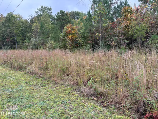 $25,000 | Everett Lane, Robbins, TN 37852