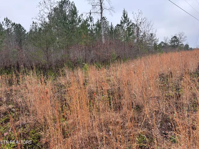 $25,000 | Everett Lane, Robbins, TN 37852