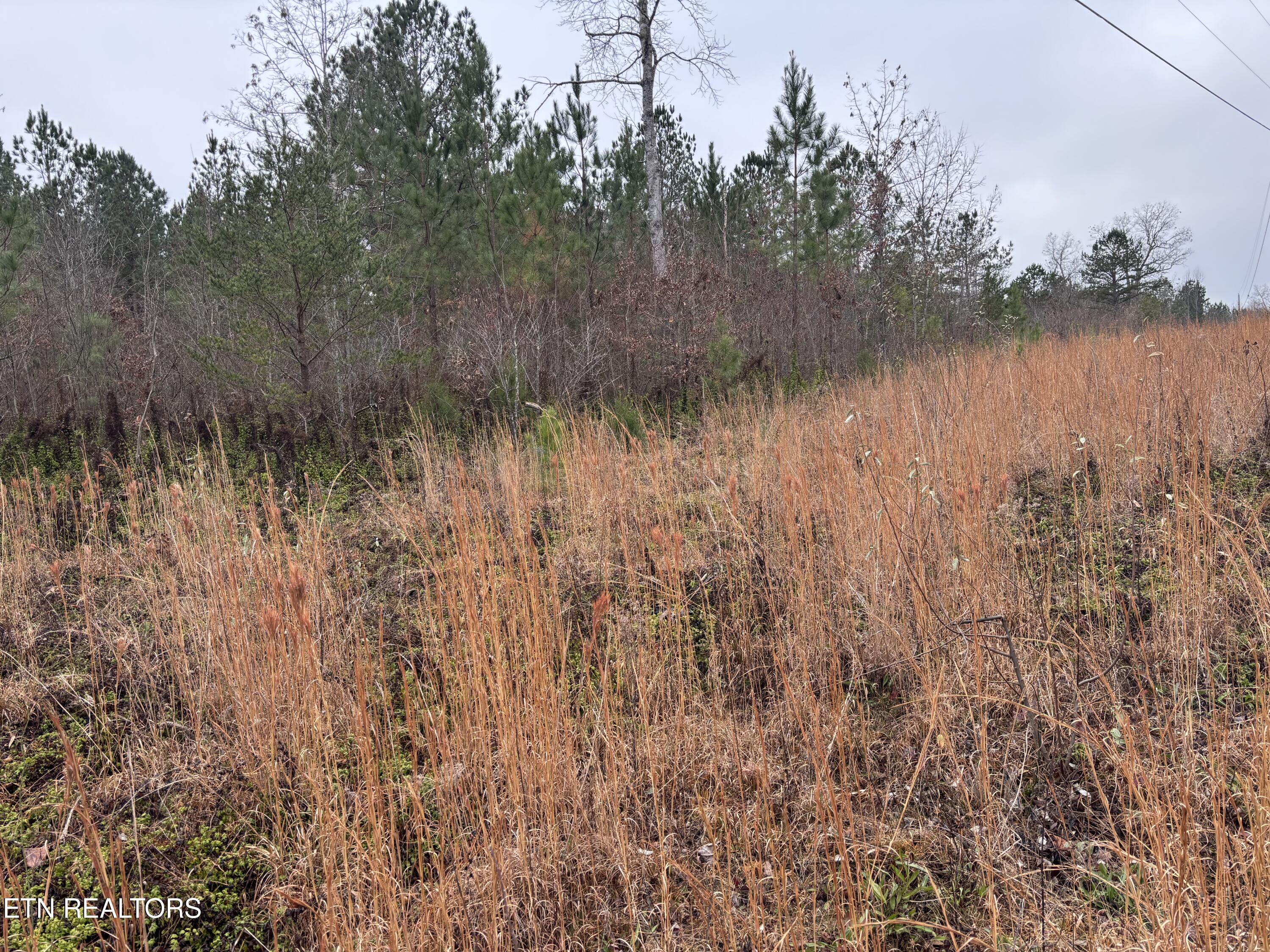 Everett Lane Robbins, TN 37852 - Photo 3 of 4 IMG_4375