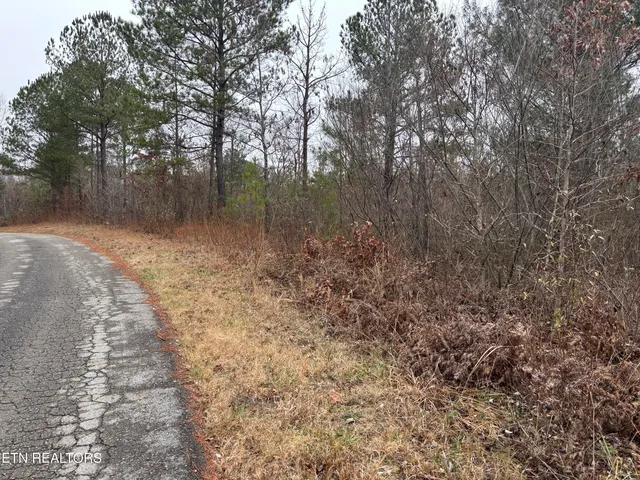 $25,000 | Everett Lane, Robbins, TN 37852