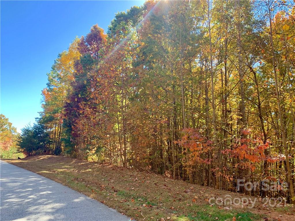 0 Round Rock Road, Unit 53 Lenoir, NC 28645 - Photo 1 of 30 Gallery Image 1
