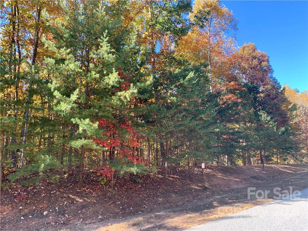 0 Round Rock Road, Unit 53 Lenoir, NC 28645 - Photo 2 of 30 Gallery Image 2