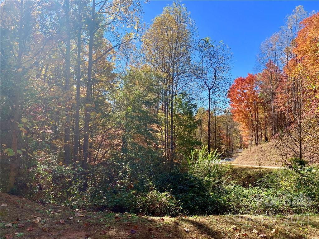 0 Round Rock Road, Unit 53 Lenoir, NC 28645 - Photo 11 of 30 Gallery Image 11