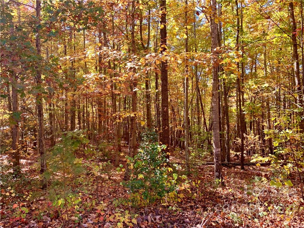0 Round Rock Road, Unit 53 Lenoir, NC 28645 - Photo 4 of 30 Gallery Image 4
