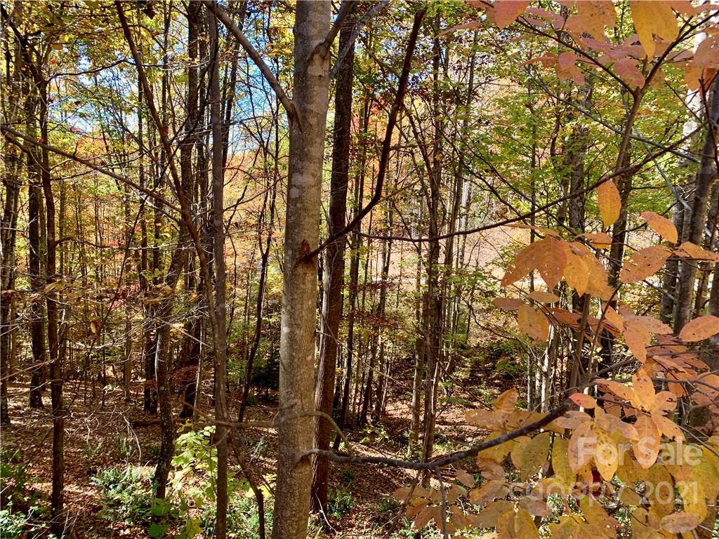 0 Round Rock Road, Unit 53 Lenoir, NC 28645 - Photo 5 of 30 Gallery Image 5