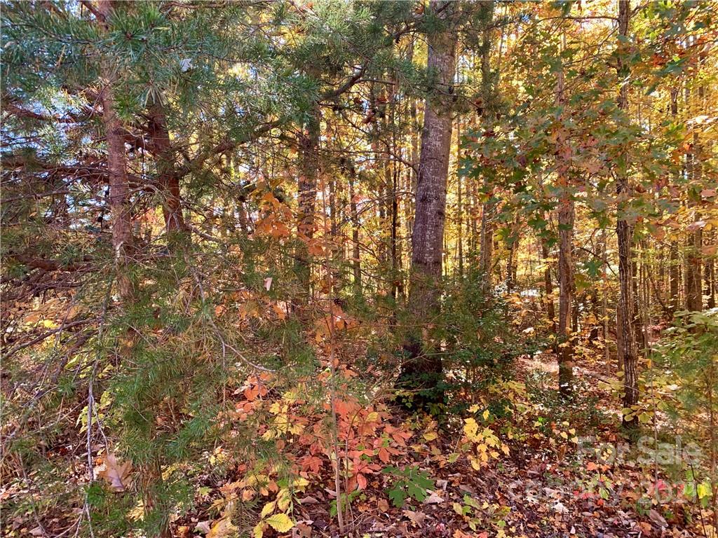 0 Round Rock Road, Unit 53 Lenoir, NC 28645 - Photo 10 of 30 Gallery Image 10