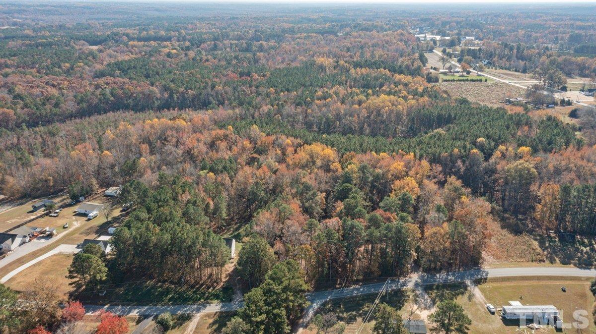 0 Davis Road Wendell, NC 27591 - Photo 2 of 5 a view of lake and mountain